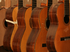 gitarres